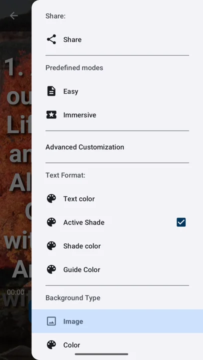The viewer’s text, colour and background settings
